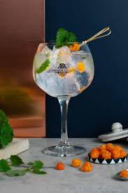 gin tonic bar concept een gin tonic als voorbeeld